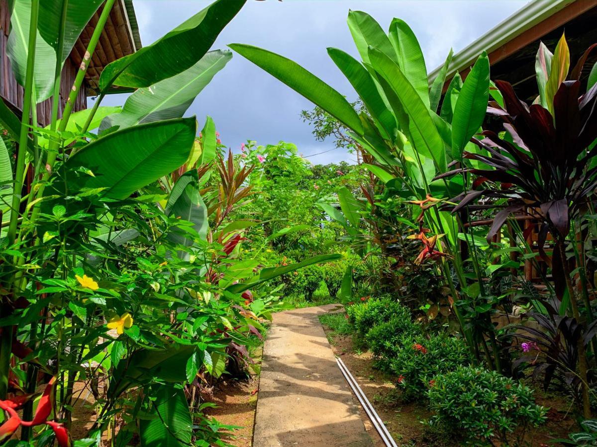 Cotingas Ocean View Villa Drake Bay Exterior photo
